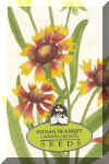 wildflower Indian blanket 250.jpg (81540 bytes)