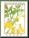 Yellow Pear Tomato frame 200.jpg (38886 bytes)
